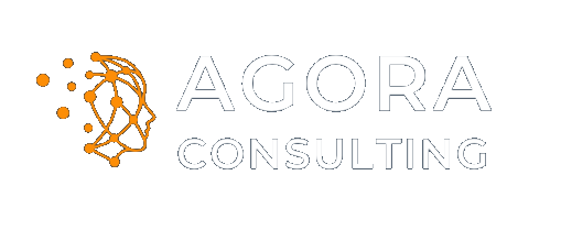 Agora Consulting Solutions